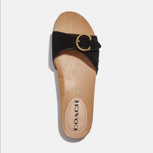 Coach Bleeker Sandal (Size 7)
